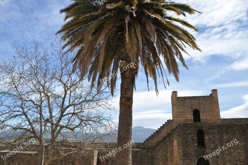 Architecture Tree Palma Monument Spain