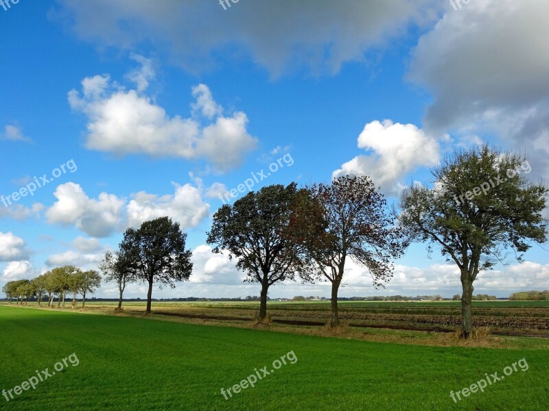 Polder Halfweg Landscape Tree Coastal