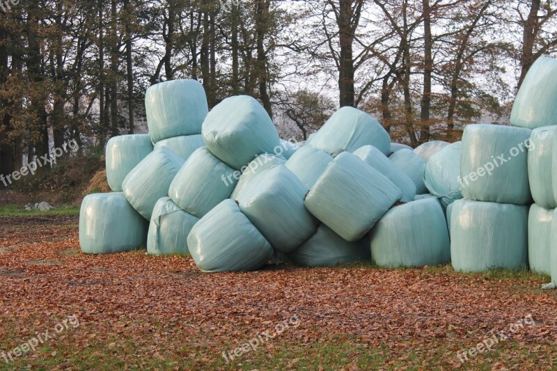 Agriculture Bale Harvest Winter Feed Free Photos