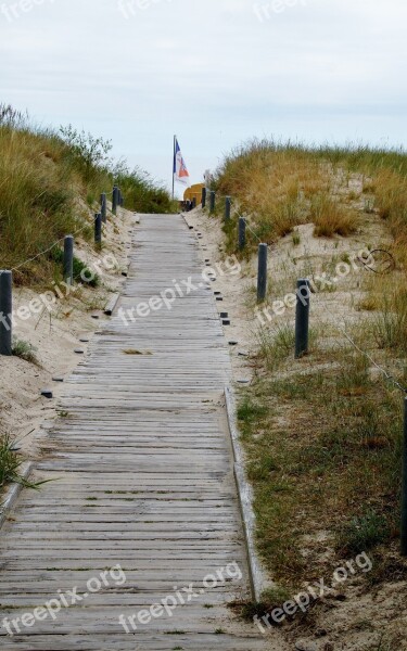 Path The Trail Dunes Sea Free Photos