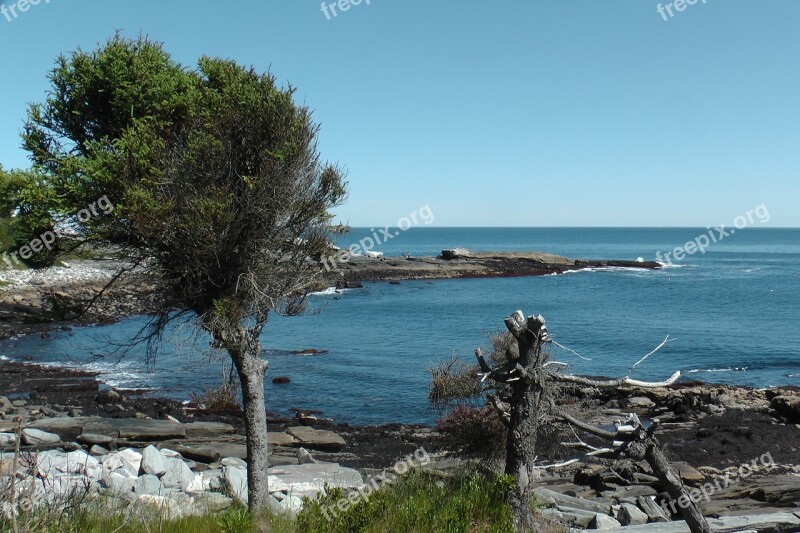 Maine Ocean Tree Sky Scenic