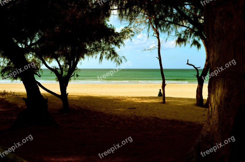 Mar Beach Nature Beira Mar Water