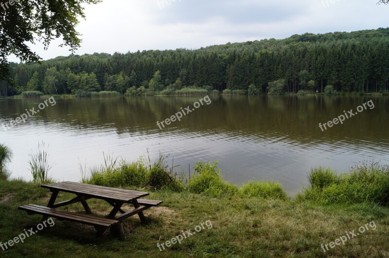 Lake Lakeside Waterfront Nature Forest