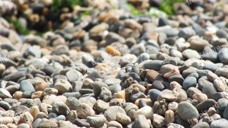 Stones Pebbles Sea Beach Summer