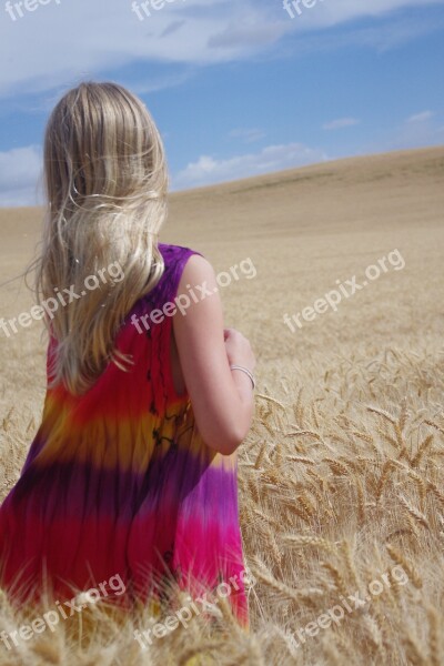 Wheat Field Blue Golden Girl