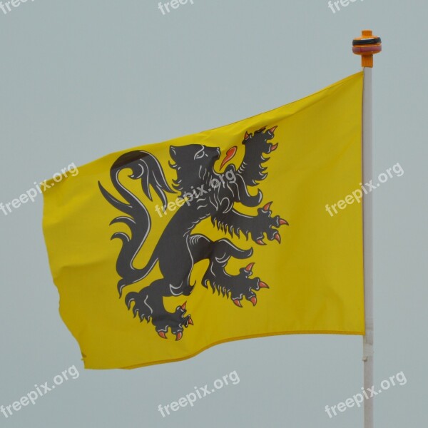 Flag Flemish Lion Flanders Free Photos