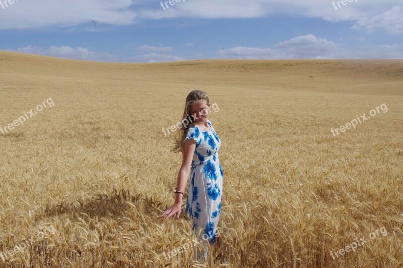 Golden Wheat Field Harvest Girl