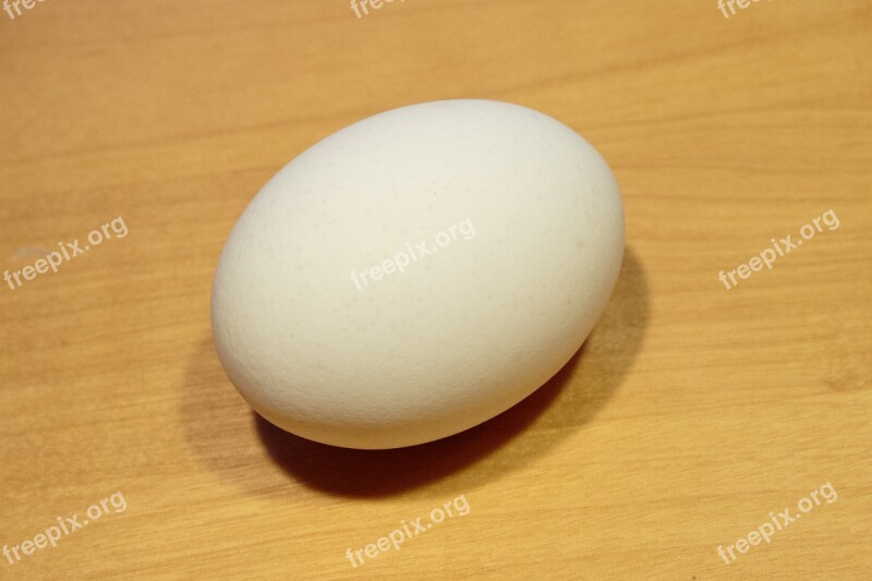 Egg White Wooden Base Free Photos