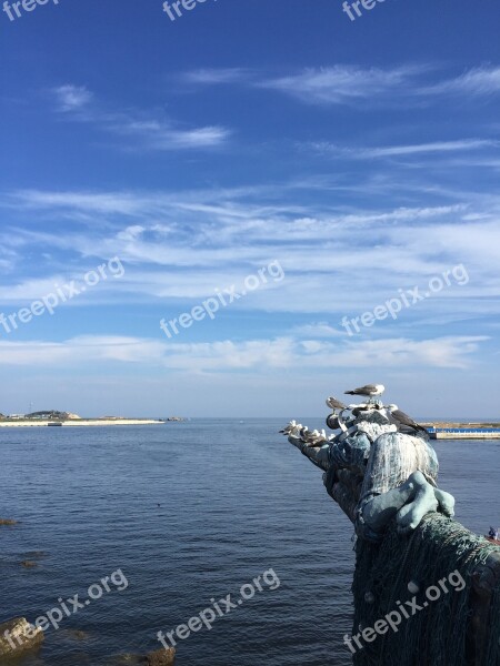 Beach Blue Sky And White Clouds The Sea Tiger Beach Ocean Park Dalian