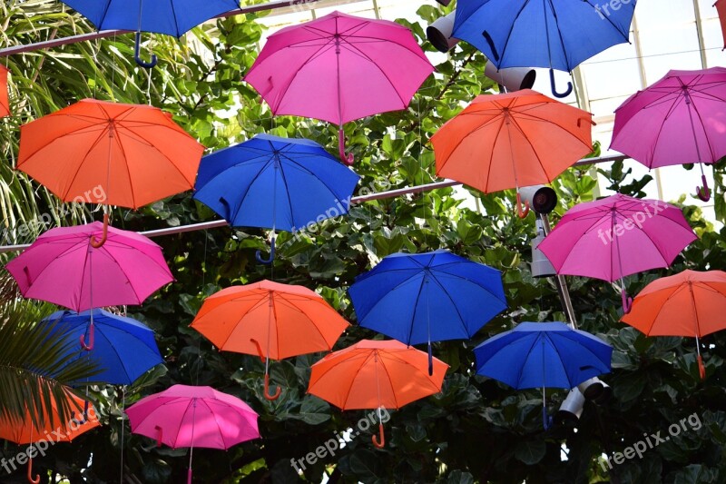 Umbrellas Colorful Weather Phipps Conservatory Pittsburgh