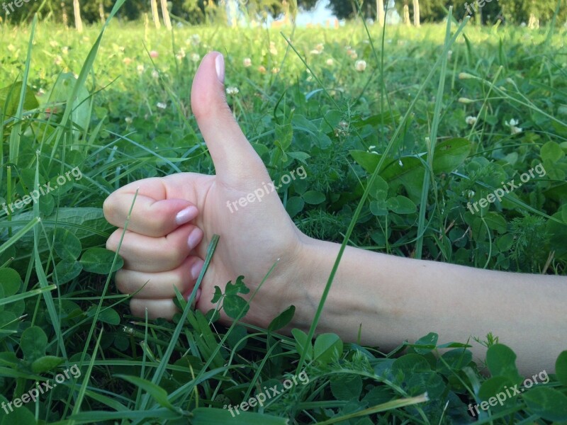 Thumbs Up Woman Hand Sign Positive Finger