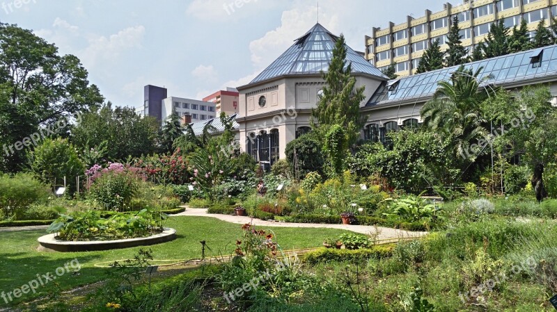 Jardin Des Plantes Budapest Garden Free Photos