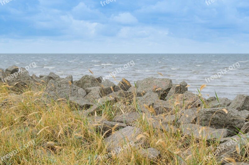 Coast Stand North Sea Surf Grass