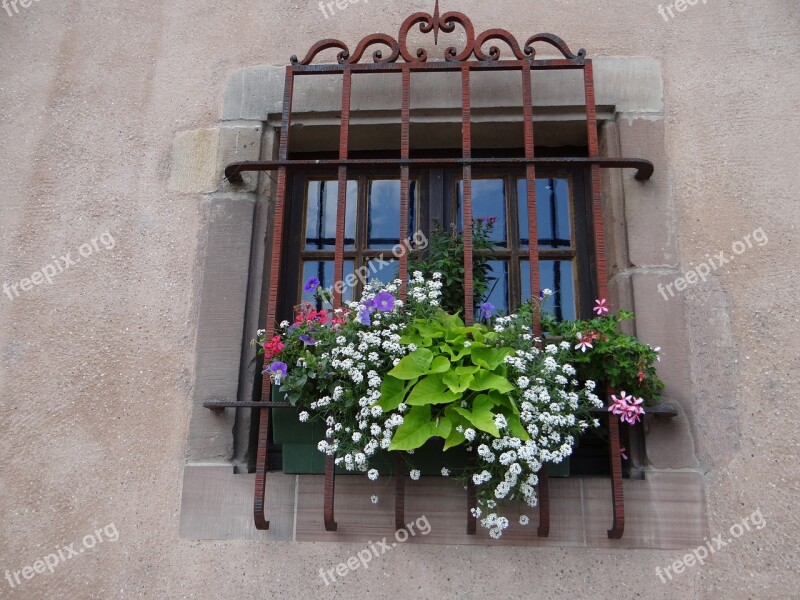 Window Grid Flowers Sarrebourg Moselle