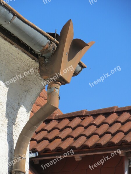 Leopoldstr Hockenheim Rain Pipe Cullis Rainwater Gutter