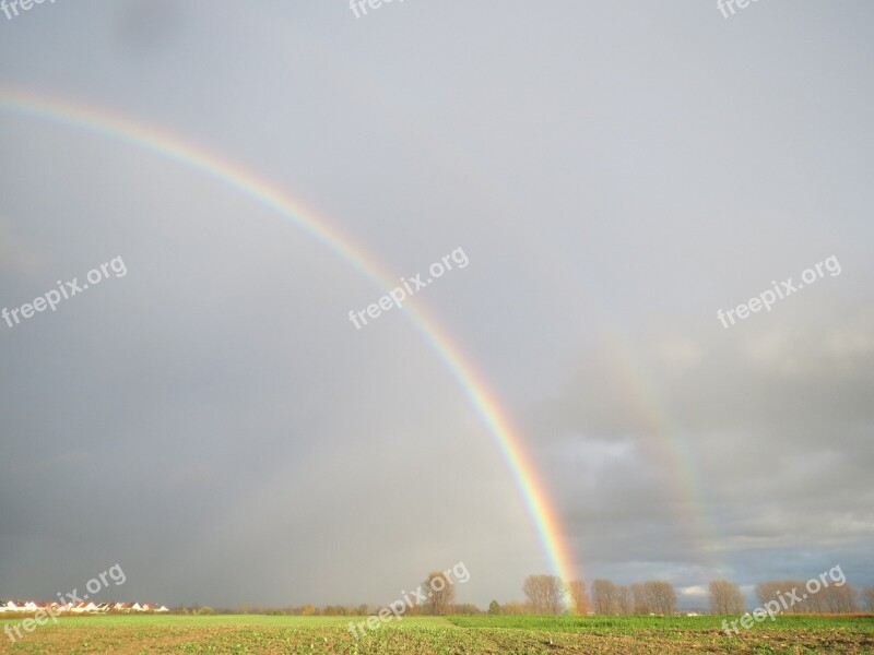 Rainbow Trees Colorful Scenic Effect