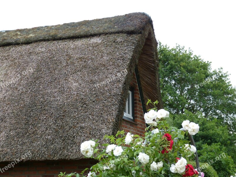 House Roof Reed Building Thatched Roof