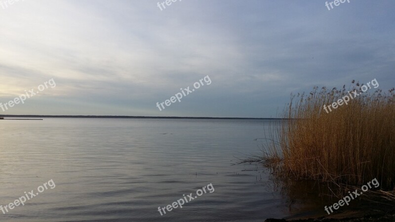 Lake Ramparts Beach Reed Himmel