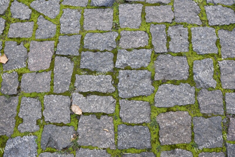 Paving Stones Grass Moss Stones Ground