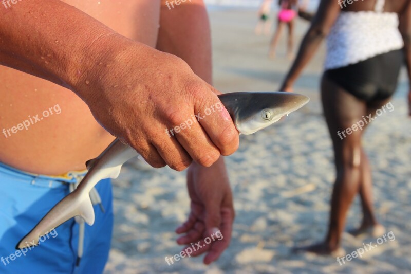 Hai Fish Beach Fishing Vacations