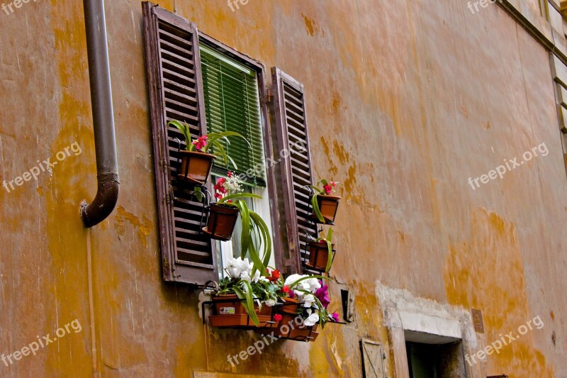 Window Window Box Home Container Free Photos