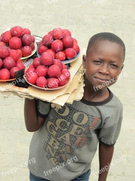 Zambia Seller Boy Fruit Free Photos