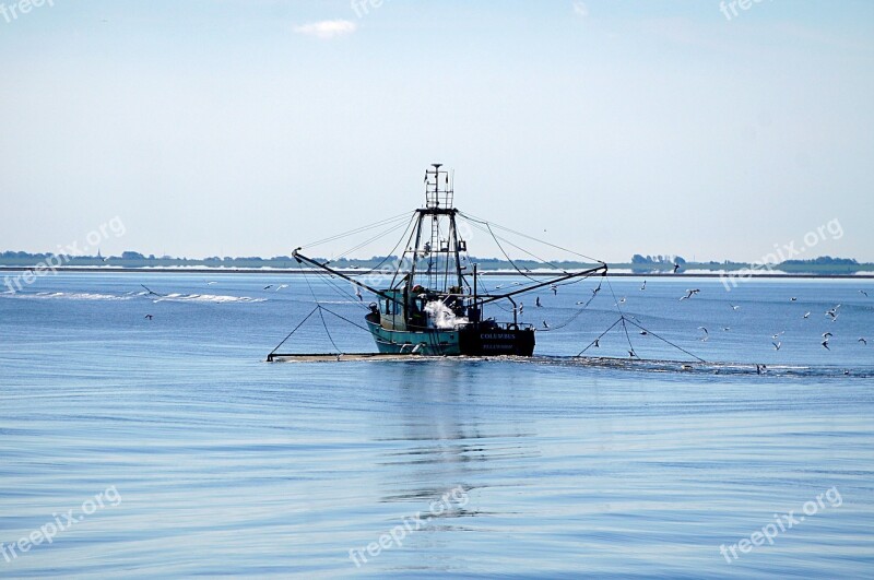 Fishing Boat Elbe Water Free Photos