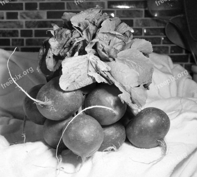 Still Life Radish Food Healthy Agriculture