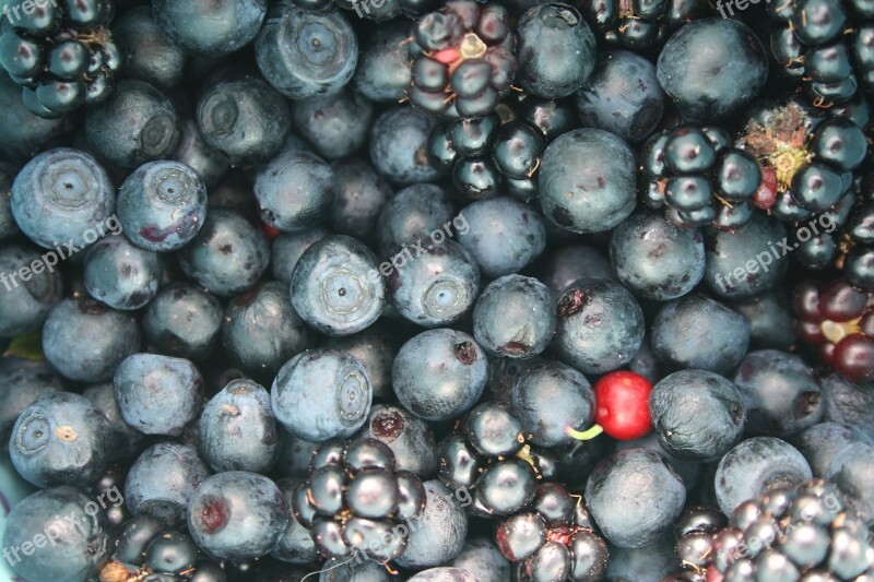 Fruit Berries Jagoda Blueberries Blackberries