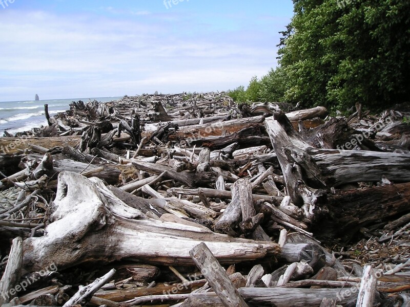 Logjam River Water Log Wood