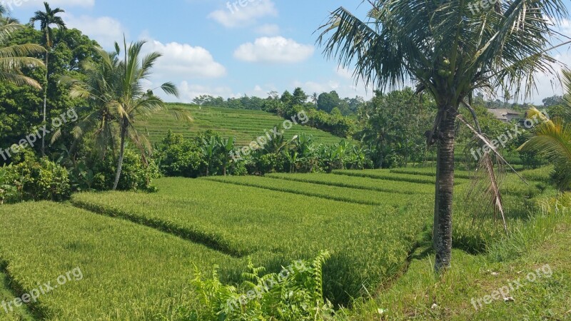 Landscape Bali Dream Free Photos