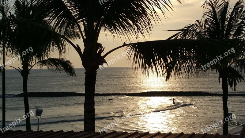 Bali Sunset Palm Trees Free Photos