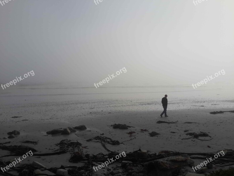 Beach Walk Mist Contemplative Male