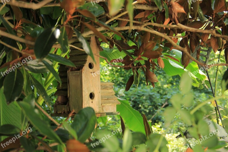 Birdhouse Bird House Wooden Nature Garden