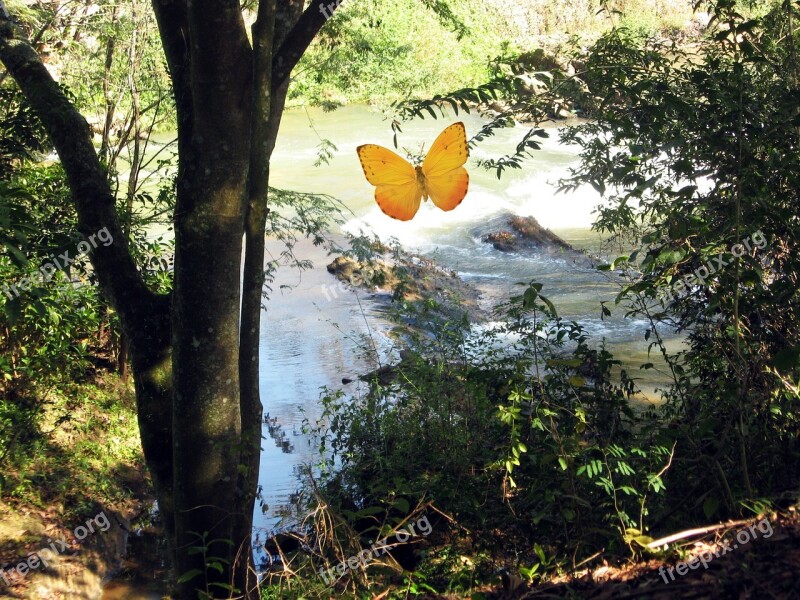 Rio Paraíba Do Sul Guararema São Paulo Brazil