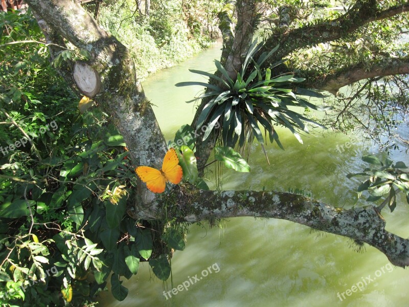 Rio Paraíba Do Sul Guararema São Paulo Brazil