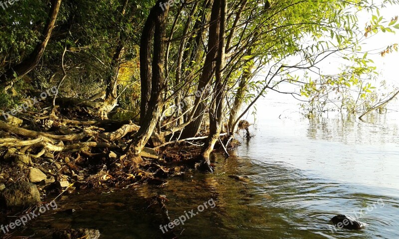 Lake Balaton Lake Lakeside Water Waterfront