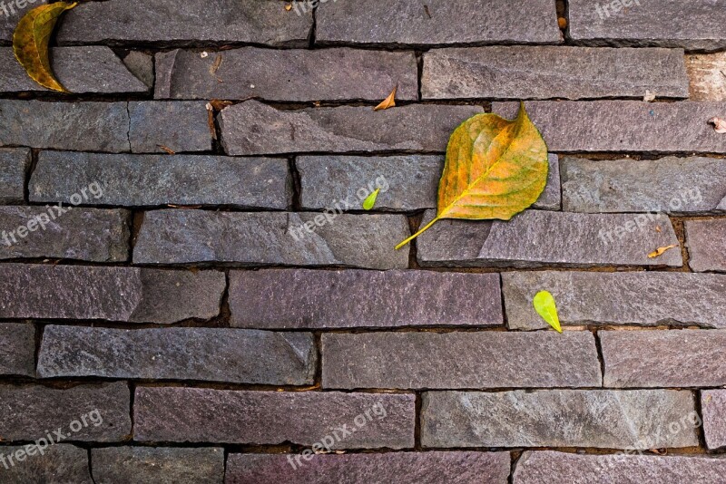 Stone Wall Texture Autumn Leaf Metope