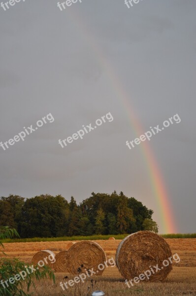 Rainbow Straw Agriculture Stro Landscape