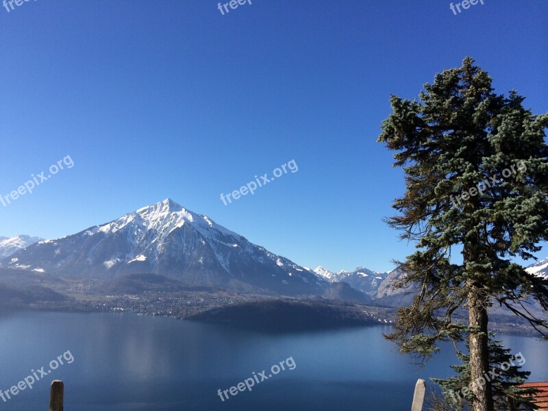 Mountain Lake Thun Bernese Oberland Lake Landscape