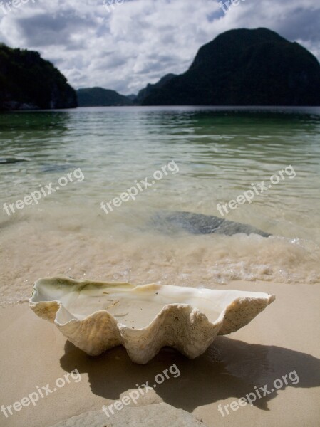 Sea Seashell Beach Sand Lagoon