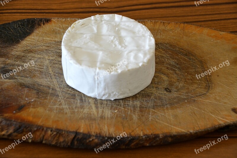 Camembert Cheese Dessert Flavor Power