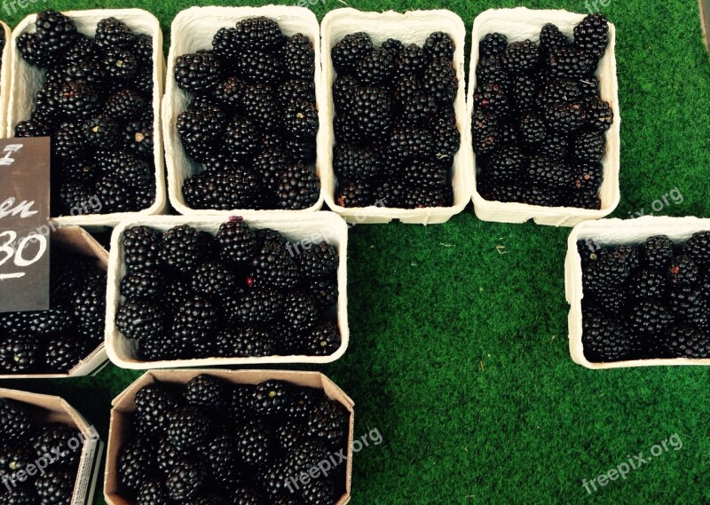 Berries Blackberries Black Delicious Free Photos