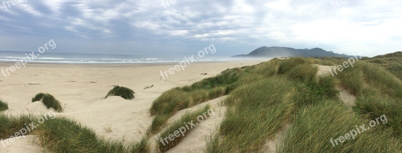 Beach Dunes Grass Summer Sand