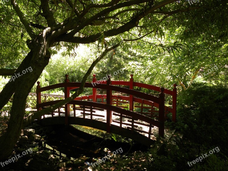 Garden Red Bridge Sun Sunny