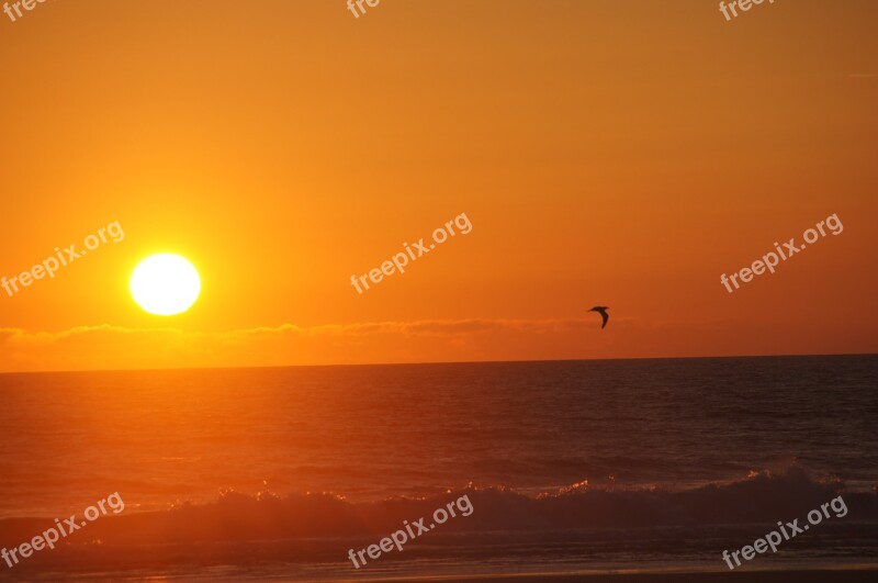 Sunset Ocean Wave Sand Beach