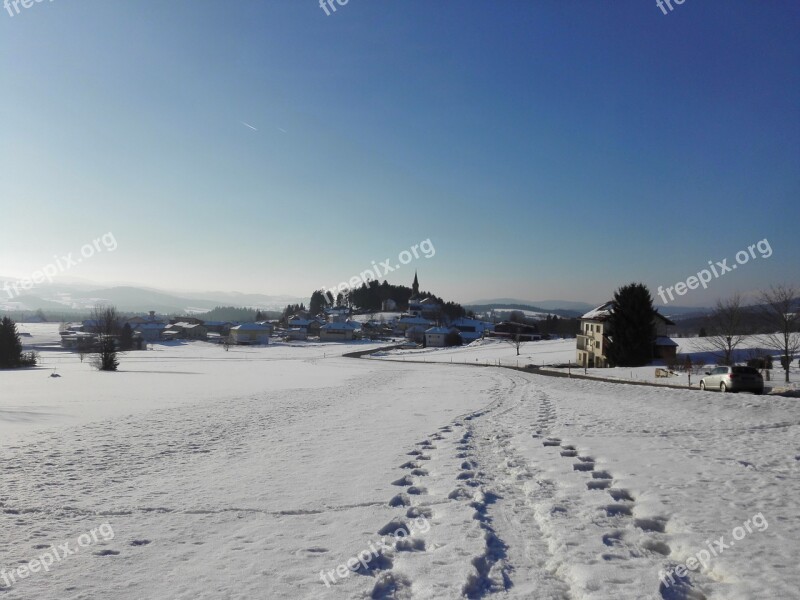 Winter Snow Landscape Wintry White