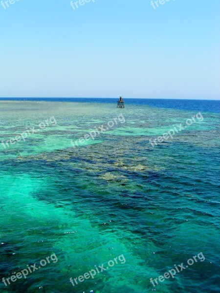 Sea Egypt Red Sea Diving Vacations