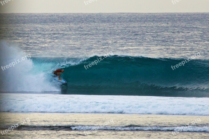 Surfing Trumpet Indonesia Sea Sports