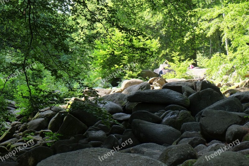 Forest Quarry Rock S Boulders